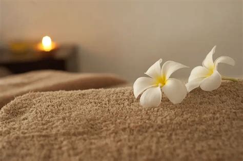 The 15 Unmissable Massage Experiences in Santa Ana